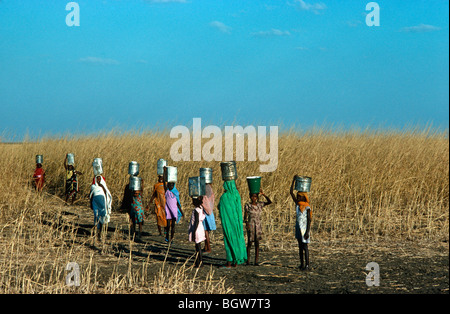 Les femmes soudanaises portant de l'eau au projet d'Irrigation de Rahad. Banque D'Images