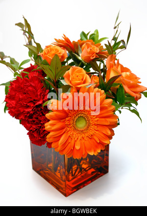 Un arrangement de fleurs orange colorés contenant des marguerites et roses, dans un vase en verre carré. Banque D'Images