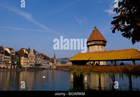 Célèbre Kapelbrucke Pont appelé Pont de la chapelle avec des cygnes au lac de Lucerne Suisse Luzern Banque D'Images