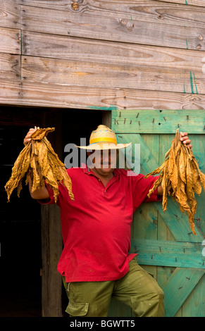 Agriculteur près de grange pour sécher le tabac dans les champs de tabac dans des méthodes primitives dans la Sierra del Rosario Cuba Banque D'Images