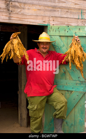 Agriculteur près de grange pour sécher le tabac dans les champs de tabac dans des méthodes primitives dans la Sierra del Rosario Cuba Banque D'Images