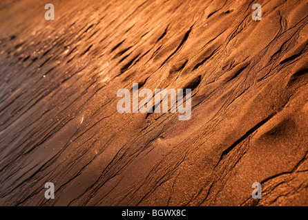 Formations de sable à Mill Bay, East Portlerouth, South Hams of Devon, Angleterre, Royaume-Uni Banque D'Images