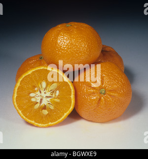 Ensemble & agrumes Fruits hybrides Mandora sectionnés, pays d'origine France Banque D'Images