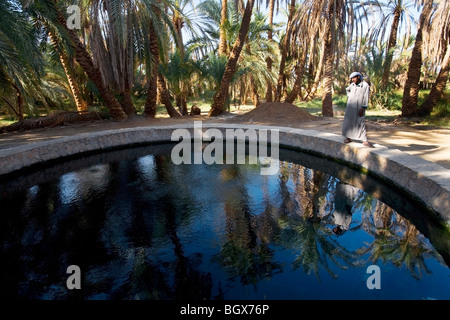 Bain Cléopâtre dans l'oasis de Siwa Banque D'Images