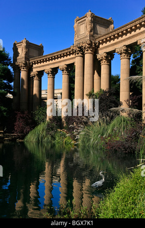 Le PALACE OF FINE ARTS Theatre avec son bel étang et un GRAND HÉRON - SAN FRANCISCO, CALIFORNIE Banque D'Images