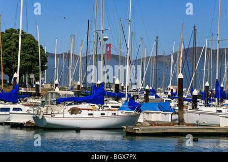 YACHTS dans le port près de Fishermans Wharf sur la baie de San Francisco - SAN FRANCISCO, CALIFORNIE Banque D'Images