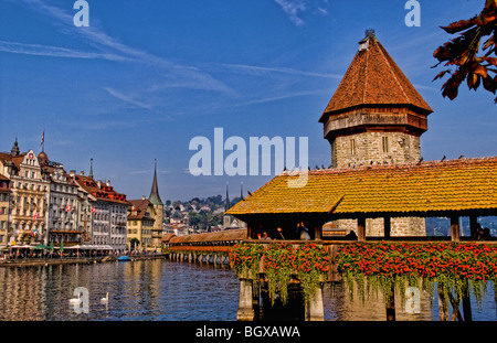 Célèbre Kapelbrucke Pont appelé Pont de la chapelle avec des cygnes au lac de Lucerne Suisse Luzern Banque D'Images