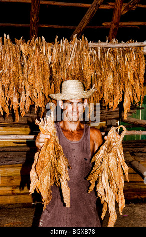 Agriculteur près de grange pour sécher le tabac dans les champs de tabac dans des méthodes primitives dans la Sierra del Rosario Cuba Banque D'Images