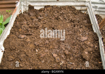 Tas de compost sur un allotissement plot Banque D'Images