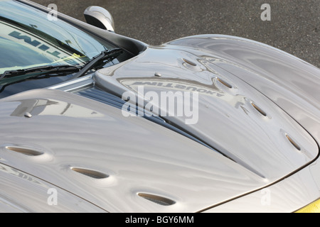 'La voiture d'Orochi, faite à la main par Mitsuoka voitures, Toyama, Japon Banque D'Images