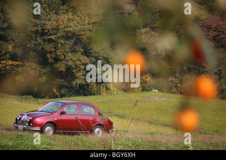 Mitsuoka ViewT 'fait main' voiture, dans la campagne de Toyama, Japon, Jeudi, Novembre 15th, 2007. Banque D'Images