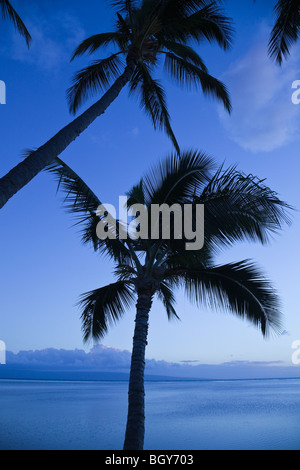 Palm sur Molokai avec vue sur l'île de Lanai, Hawaii Banque D'Images