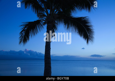 Palm sur Molokai avec vue sur l'île de Lanai, Hawaii Banque D'Images