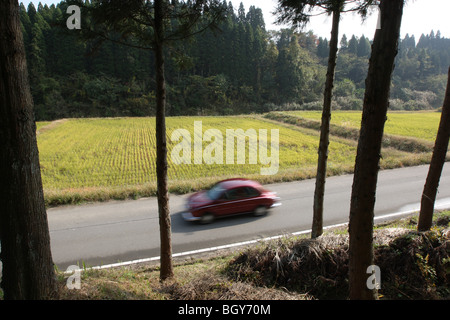 Mitsuoka ViewT 'fait main' voiture, dans la campagne de Toyama, Japon, Jeudi, Novembre 15th, 2007. Banque D'Images