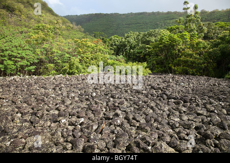 Iliiliopae heiau,plus grand temple hawaïen sur Molokai et pensé pour être le site de l'ancienne des sacrifices humains. Banque D'Images