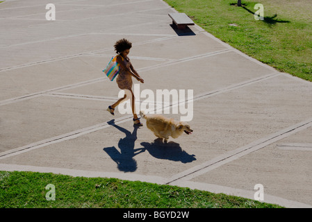 Woman walking dog in park, high angle view Banque D'Images