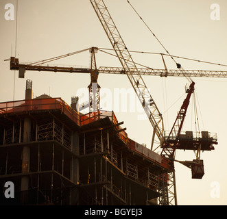 Grues de travail Banque D'Images