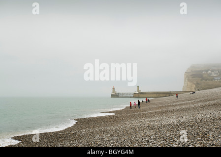 France, Normandie, rocky seashore Banque D'Images