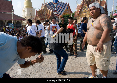 Les dévots en transe à l'un des plus étranges de la Thaïlande Wat Phra Bang cultes au Temple Banque D'Images