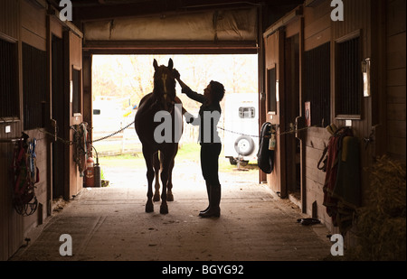 Woman grooming horse Banque D'Images