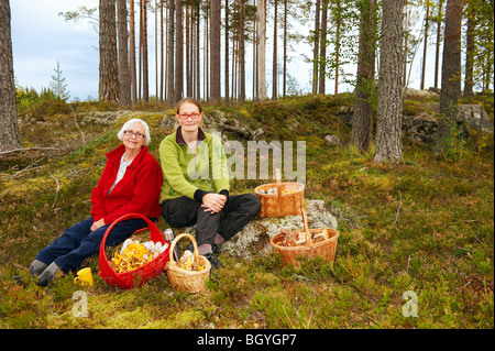 Les femmes avec des paniers de champignons dans la forêt Banque D'Images