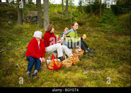 Les femmes avec des paniers de champignons dans la forêt Banque D'Images