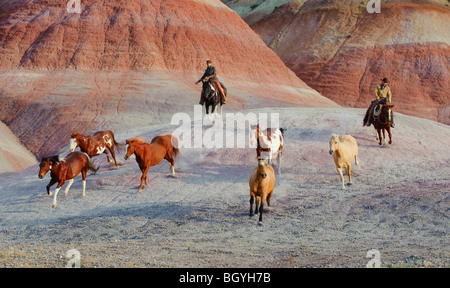 Cow-Boys Banque D'Images