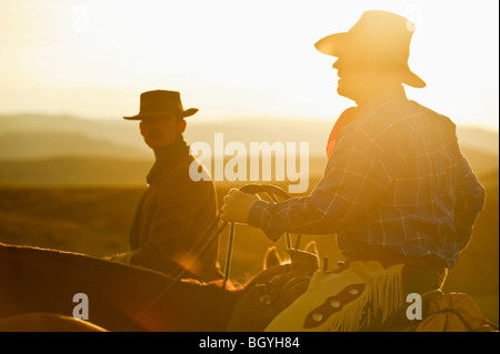 Cow-Boys Banque D'Images