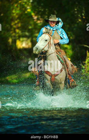 Cheval dans l'eau Banque D'Images