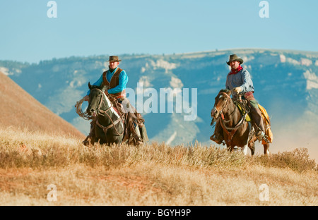 Cow-Boys Banque D'Images