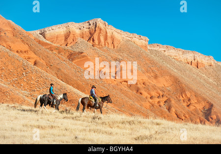 Cow-Boys Banque D'Images