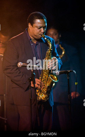 Saxophoniste alto de Jazz Vincent Herring jouant 'Kind of Blue' avec la bande qu'à Hay Festival 2009. Banque D'Images