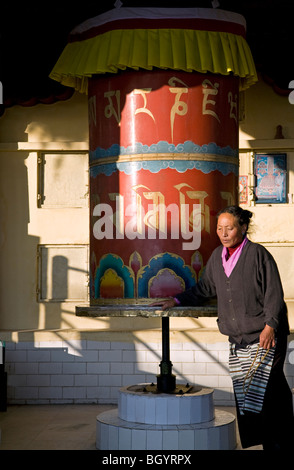 Femme tibétaine en tournant un grand moulin à prières. Tsuglagkhang complex. McLeod Ganj. Dharamsala. L'Inde Banque D'Images
