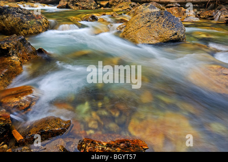Ruisseau du spectre à Rainbow Falls dans le parc provincial de Monashee, Okanagan, Colombie-Britannique, Canada. Banque D'Images