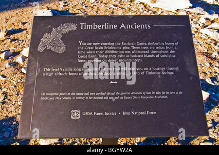 Panneau d'interprétation de l'ancien patriarche Grove, Bristlecone Pine Forest, Inyo National Forest, Montagnes Blanches, en Californie Banque D'Images