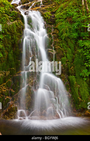 Cascade dans la forêt tropicale près de Port Alice, Nord de l'île de Vancouver, l'île de Vancouver, Colombie-Britannique, Canada. Banque D'Images