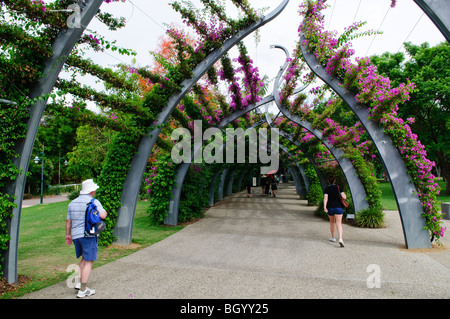 South Bank Parklands Walkway Arches Brisbane Australie // BRISBANE, Australie — les arches de passerelle de style artistique dans les South Bank Parklands de Brisbane sont couvertes de vignes fleuries, créant un couloir piétonnier ombragé. Les parcs, situés le long des rives sud de la Brisbane River, ont été aménagés sur le site de l'exposition universelle de 88 et sont devenus l'un des principaux espaces de loisirs de la ville. Cet espace urbain verdoyant comprend des jardins, des restaurants et des lieux culturels, servant de lieu de rassemblement populaire pour les habitants et les touristes dans la capitale du Queensland. Banque D'Images