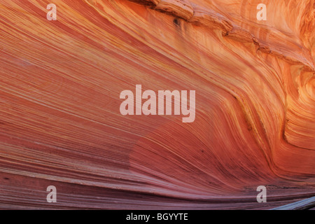 Formation Slickrock, Coyote Buttes salon de Paria Canyon, Vermilion Cliffs Wilderness, Arizona. Banque D'Images