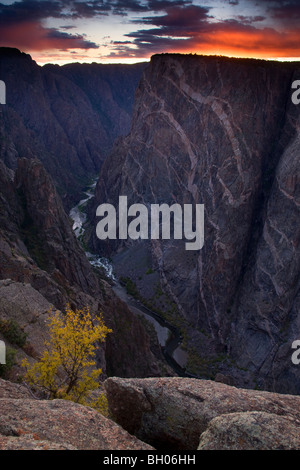 Mur peint, Parc National Black Canyon of the Gunnison, Colorado. Banque D'Images