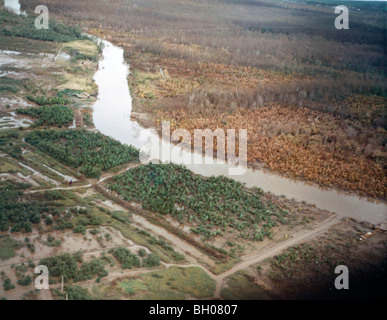 Photo montre la détérioration de la végétation, probablement causé par l'agent Orange ou d'un défoliant, semblable au Sud Vietnam le 9 Banque D'Images