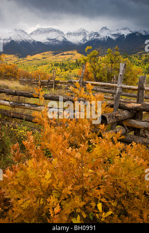 Couleurs d'automne et le Sneffels Range, montagnes de San Juan, au Colorado.