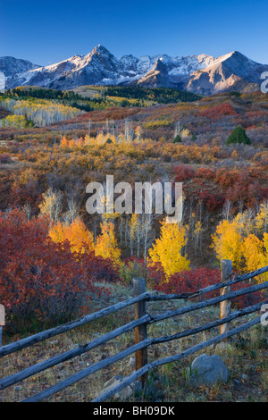 Couleurs d'automne et le Sneffels Range, montagnes de San Juan, Dallas Divide, Colorado. Banque D'Images