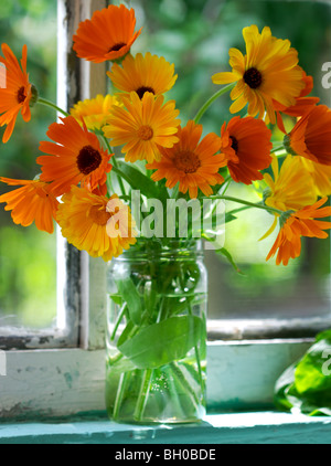 Fleurs - village still life Banque D'Images