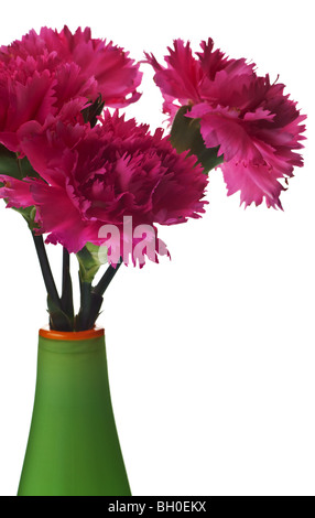 Oeillets roses dans un vase vert isolated on white Banque D'Images