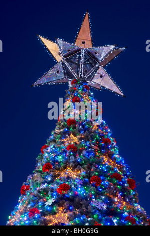 Le plus grand arbre de Noël solaire Australie Brisbane Banque D'Images