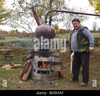 La Croatie, Velebit mountain range une petite distillerie Banque D'Images