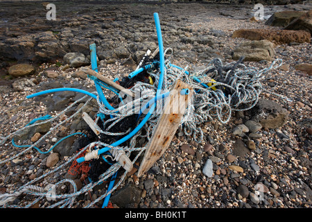 Zoé sur une plage britannique Banque D'Images