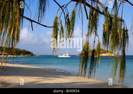 Anchor Bay Île Lizard Grande Barrière de corail en Australie Banque D'Images