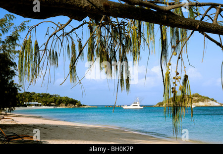 Anchor Bay Île Lizard Grande Barrière de corail en Australie Banque D'Images