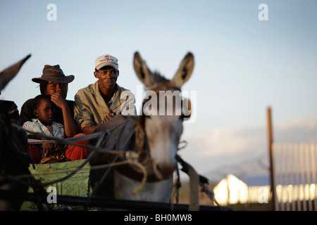 Famille sur un chariot tiré par un âne, Windhoek, Namibie, Afrique Banque D'Images